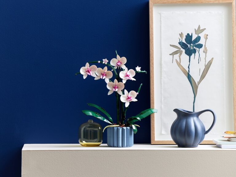 L'Orchidea LEGO su una mensola bianca davanti a una parete blu scuro, con sei fiori bianchi dal centro magenta, foglie verde scuro e un vaso scanalato color sabbia blu, accanto a un piccolo vaso di vetro, un quadro con un disegno botanico e una brocca di ceramica blu